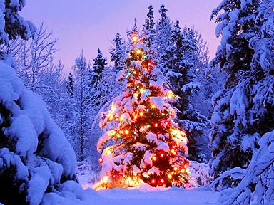 Kerst